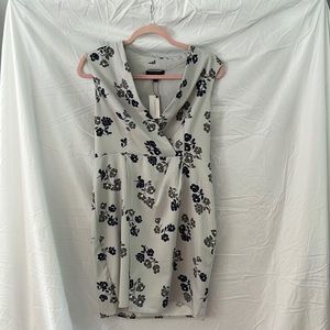 Banana Republic dress, size 8P